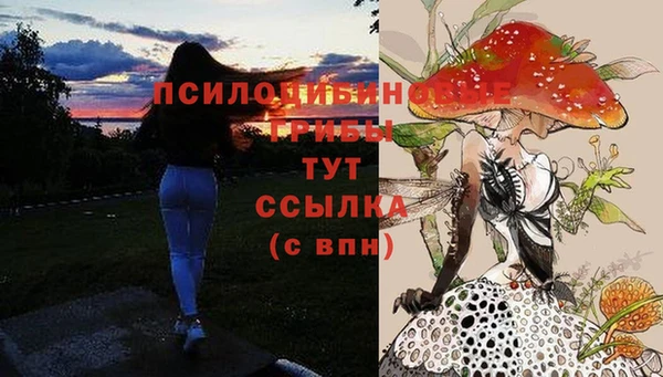 твердый Балабаново