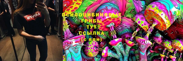 СК Богданович