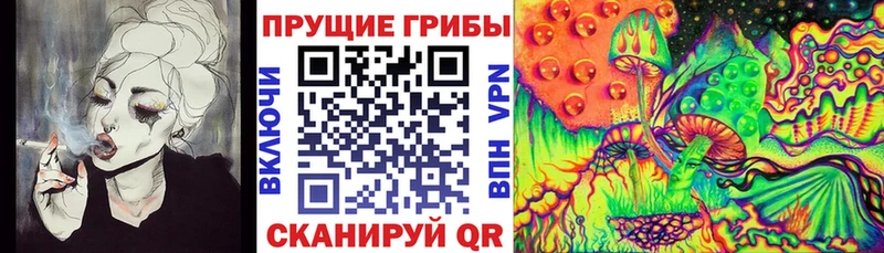 дарнет шоп  Луховицы  Псилоцибиновые грибы прущие грибы 